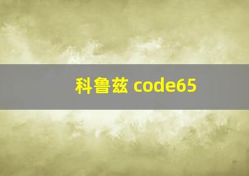 科鲁兹 code65